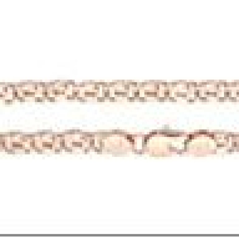 Apzeltītā ķēdīte Gliemežu atslēgas caurumiņu posmu virkne