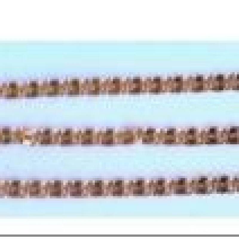 Apzeltītā ķēdīte Gliemežu atslēgas caurumiņu posmu virkne