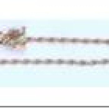 Apzeltītā ķēdīte Platu gliemežu posmu virkne