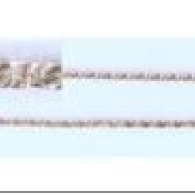 Apzeltītā ķēdīte Gliemežu posmu virkne