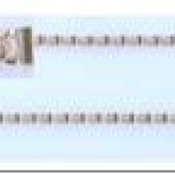 Apzeltītā ķēdīte Plānu pulētu gliemežvāku posmu virkne