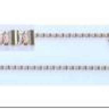 Apzeltītā ķēdīte Plānu pulētu gliemežvāku posmu virkne