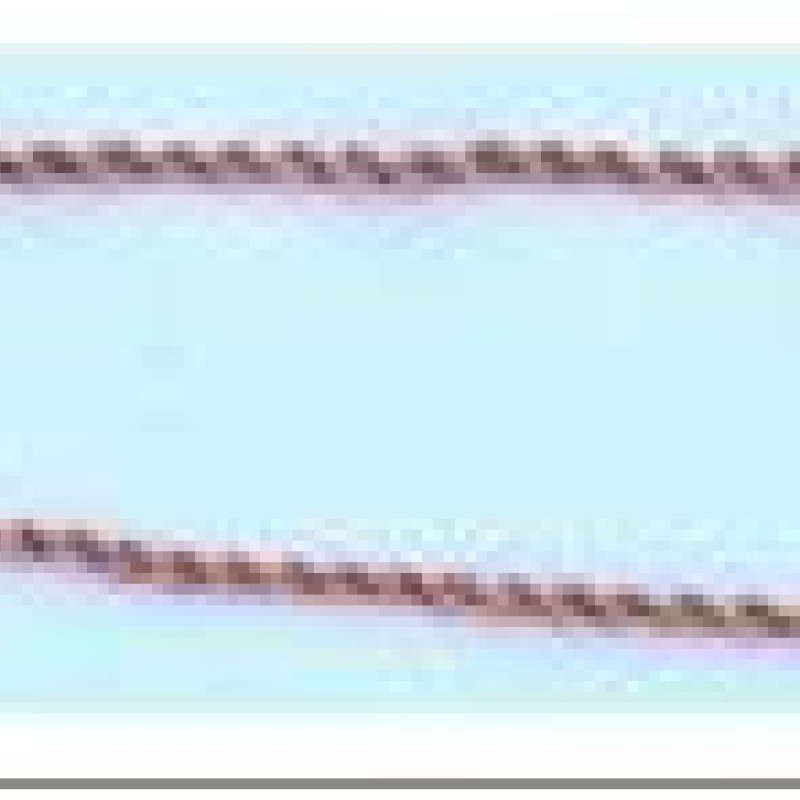 Apzeltītā ķēdīte Singapūras trīskāršas vienā virknes pinums