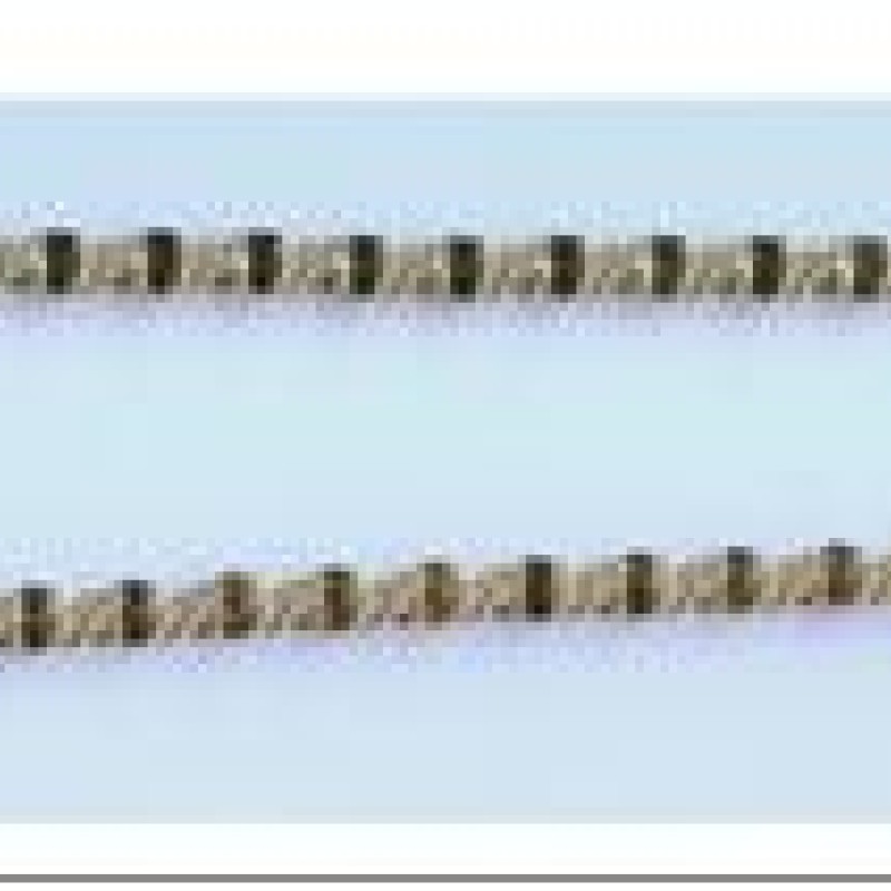 Apzeltītā ķēdīte Īpaši plānu gliemežu posmu virkne