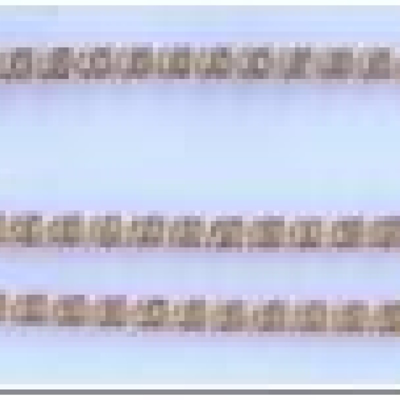 Apzeltītā ķēdīte Cietā gliemeža posmu ar izkaltiem punktiem un riņķi virkne