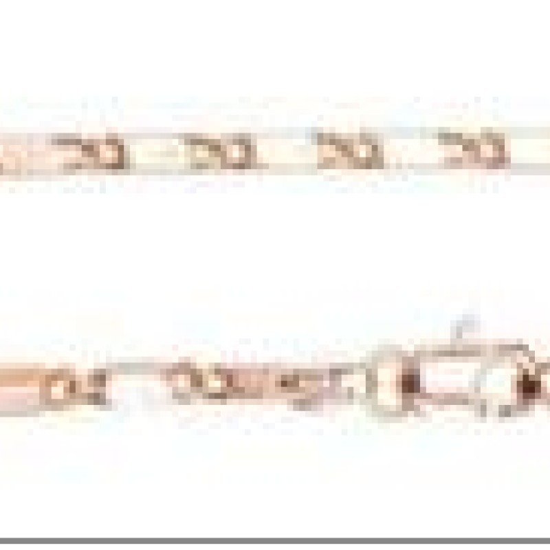 Apzeltītā ķēdīte Masīvā kubveida saspiesta gliemežvāka posmu virkne