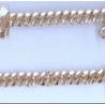 Apzeltītā ķēdīte Apmaļu punktveida gravējuma posmu virkne