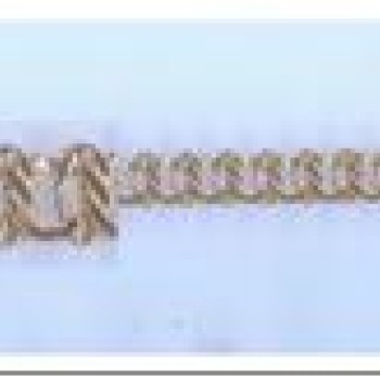 Apzeltītā ķēdīte Kabeļveida gliemežvāku posmu pinums