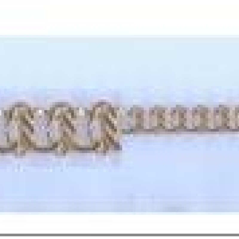 Apzeltītā ķēdīte Kabeļveida gliemežvāku posmu pinums