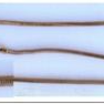 Apzeltītā ķēdīte Klasiska čūskas kaula noapaļotu robainu posmu virkne