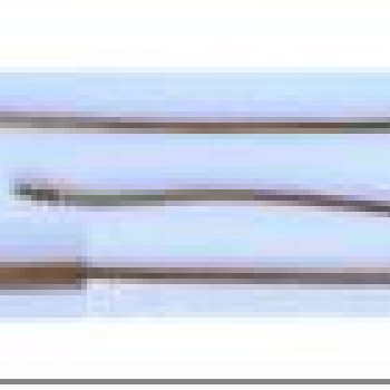 Apzeltītā ķēdīte Klasiska čūskas kaula noapaļotu robainu posmu virkne