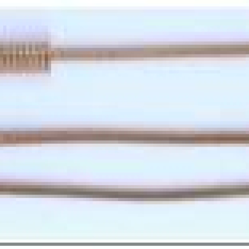 Apzeltītā ķēdīte Klasiska čūskas kaula noapaļotu robainu posmu virkne