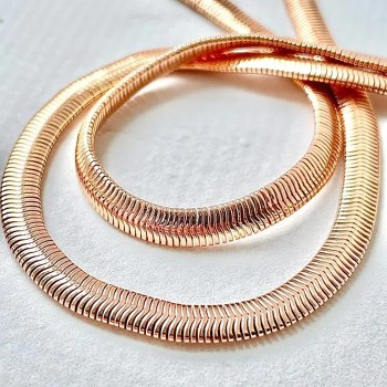 Apzeltītā ķēdīte Plakanu čūskas skeleta posmu virkne