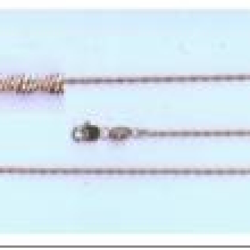 Apzeltītā ķēdīte