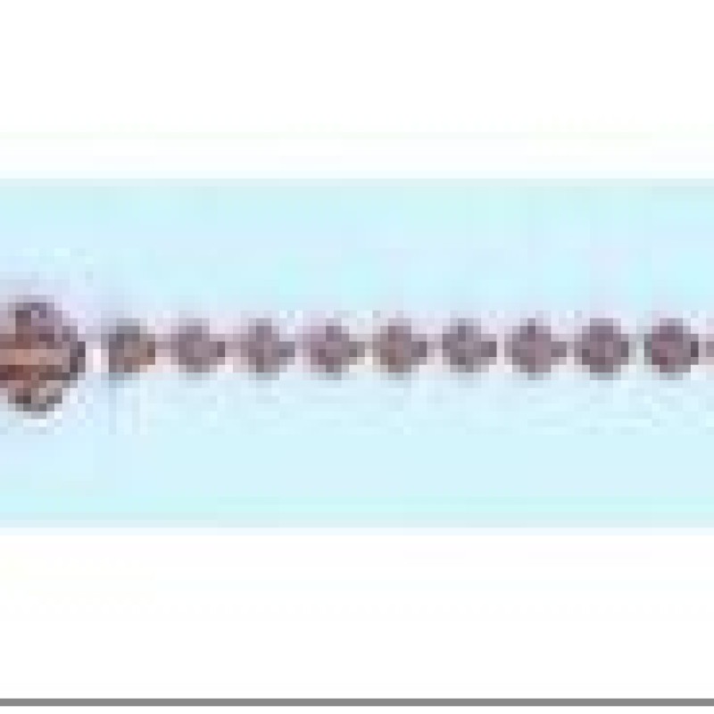 Apzeltītā ķēdīte