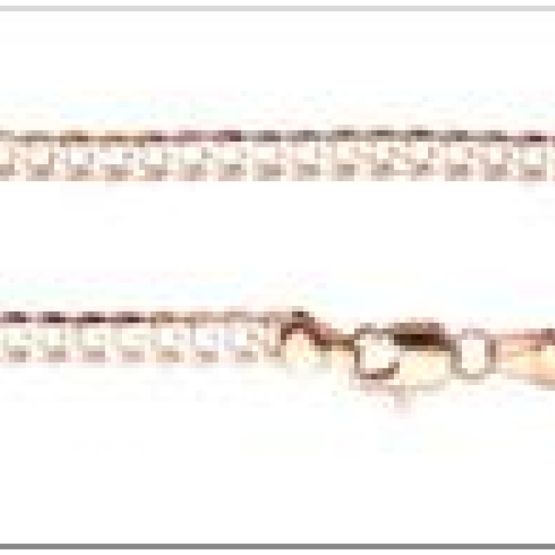 Apzeltītā ķēdīte Klasiskās ķēdes ar apmales posmu virkne