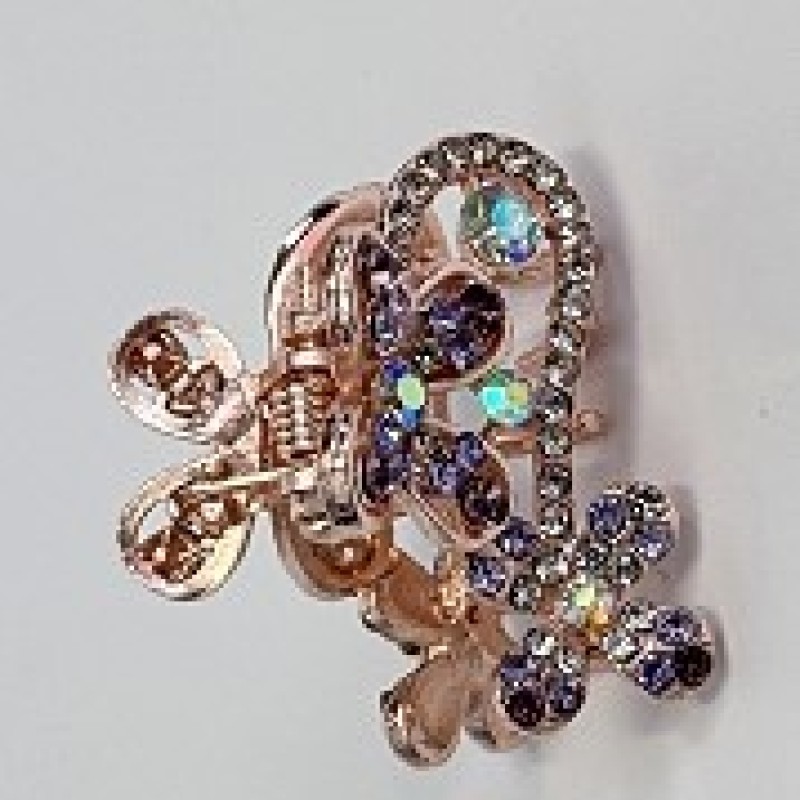 Matu sprādze-krabis ar strazām X-H